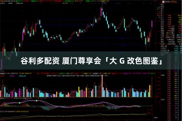 谷利多配资 厦门尊享会「大 G 改色图鉴」